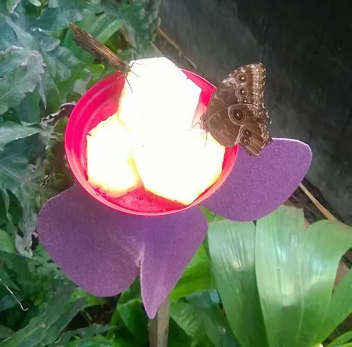 Relais De Saintonge 3* Saint-Genis-de-Saintonge